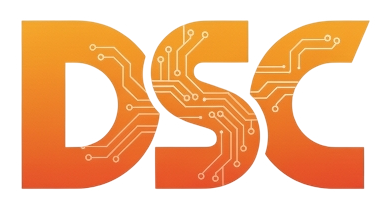 David Seguin Consulting Inc.